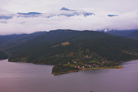 Mountains Full of Trees thumbnail