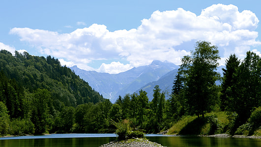 body of water surrounded by trees during daytime thumbnail