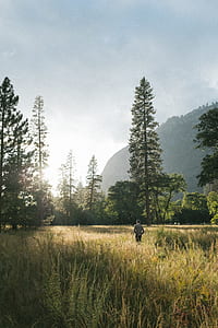 man standing in the middle of green field thumbnail
