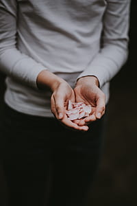 person holding pink petaled flower thumbnail