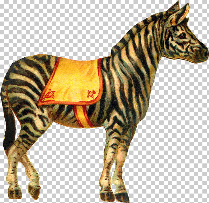 Related image