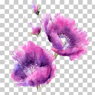 Watercolor painting, Watercolor purple flowers, pink flowers PNG clipart