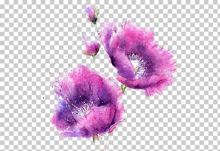 Watercolor painting, Watercolor purple flowers, pink flowers PNG clipart