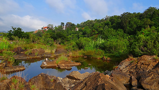 Evergreen Forest, Western Ghats thumbnail