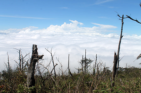 Landscape and a Sea of Clouds in Indonesia thumbnail