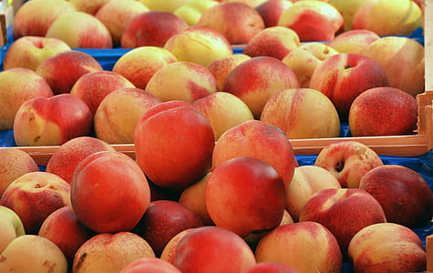red apple lot thumbnail