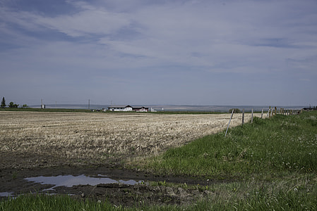 Farmhouse in the distance under the sky in Alberta thumbnail