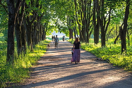 people waking on soil road near trees during day thumbnail
