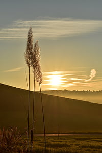 landscape photography of foggy mountains during golden hour thumbnail