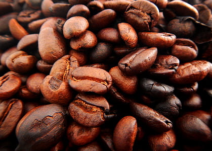 closeup photography of roasted coffee beans thumbnail