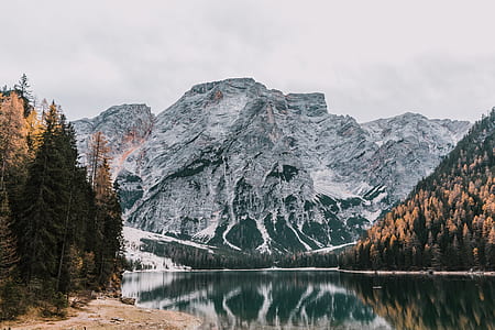 green forest surrounded by mountain and river thumbnail