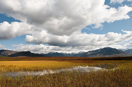green grass field near mountain peak thumbnail