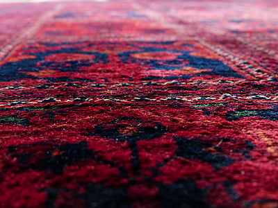 red and blue floral area rug in low angle photography thumbnail
