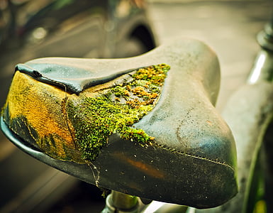 close-up photo of bicycle seat covered with moss thumbnail