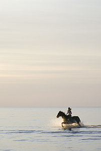 Girl riding horse thumbnail