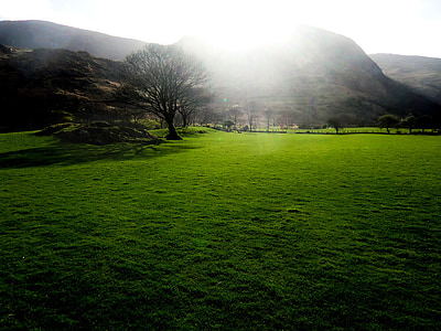 green grass field thumbnail