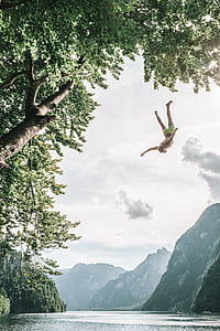 man jumping from tree on body of water thumbnail