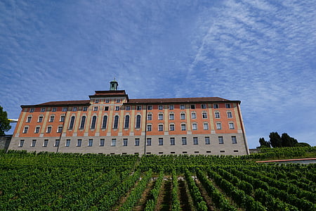 gray and brown mansion during daytime thumbnail
