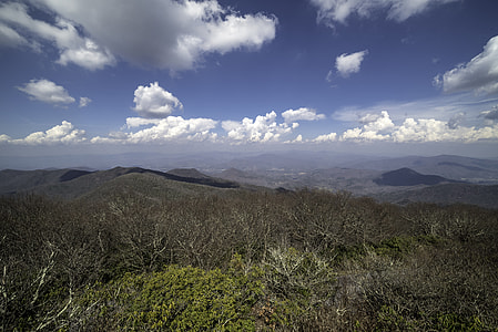 Forest Mountain Landscape at Brasstown Bald, Georgia thumbnail