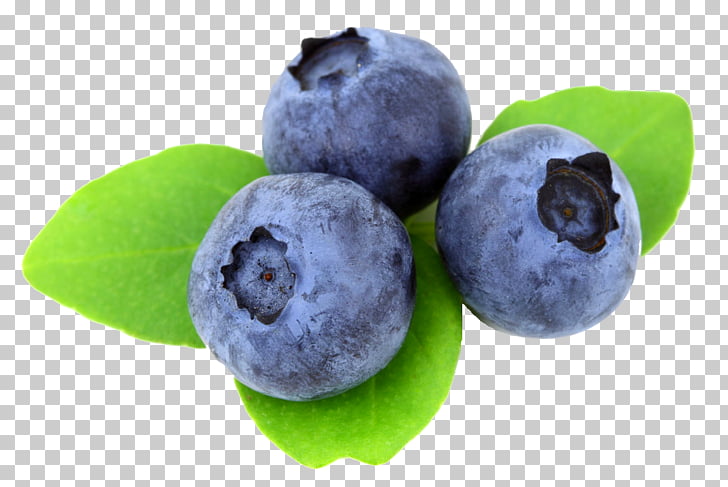Juice Blueberry Muffin Desktop Berry Png Clipart Free Cliparts
