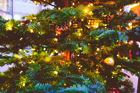 Christmas tree detail thumbnail