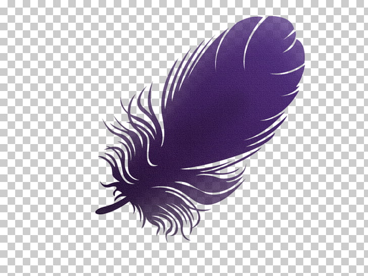 Feather Wing Bird Plumas Png Clipart Free Cliparts Uihere
