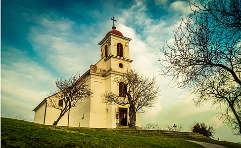 Cathedral Under Clouds Near Leafless Tree thumbnail