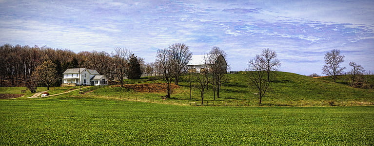 landscape photography of grass covered hill with trees and house during daytime thumbnail
