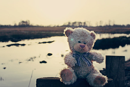 brown bear plush toy on black surface thumbnail