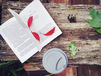 flat lay photography of white book beside gray cup thumbnail