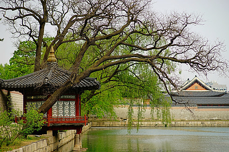 red and black pagoda beside body of water thumbnail