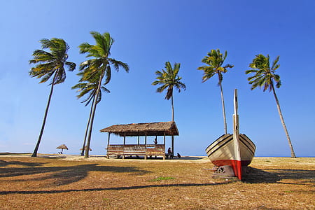 sea, landscape, nature, beach thumbnail
