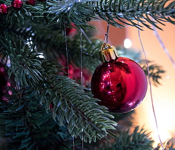 purple bauble on Christmas tree thumbnail
