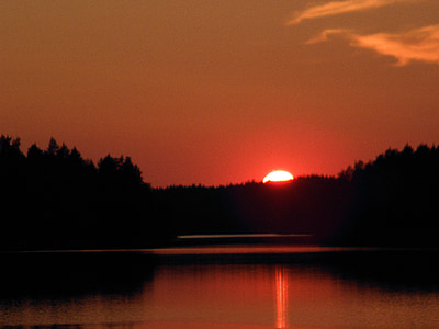 silhouette of trees during sunset thumbnail