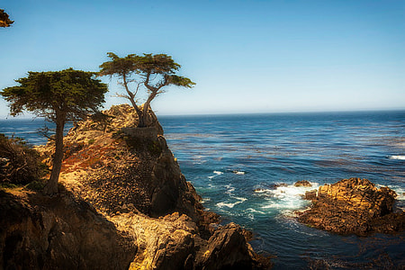 two green leaf trees on rocky mountain on sea thumbnail