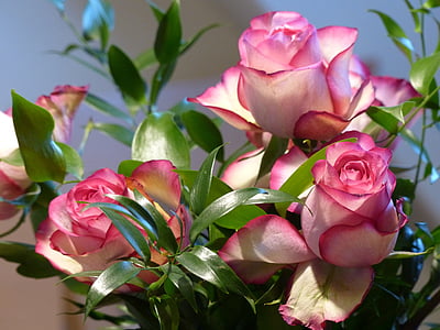 focus photography of white and pink flowers thumbnail