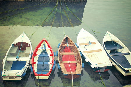 docked five wooden boats with ropes thumbnail