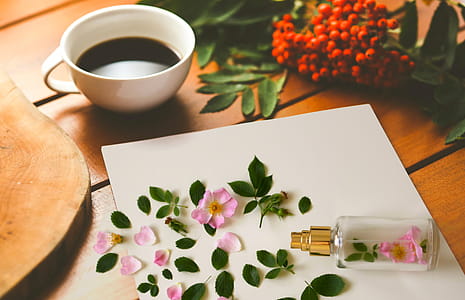 Scene with perfume, coffee and botanicals. thumbnail