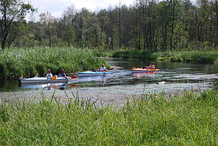 three rowboats on body of water thumbnail