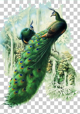 Painting Work of art Peafowl, peacock, green peacock PNG clipart