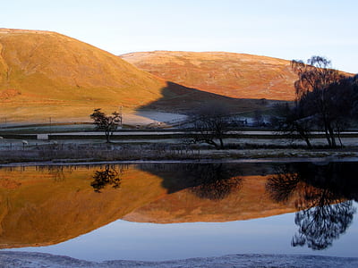 bare trees near calm body of water during day thumbnail