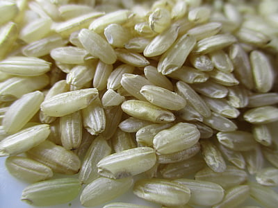 closeup photo of rice grains thumbnail