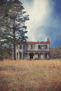 brown and gray house near at tree during daytime thumbnail