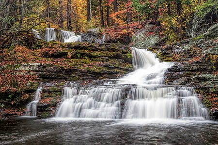waterfalls near forest during daytime thumbnail