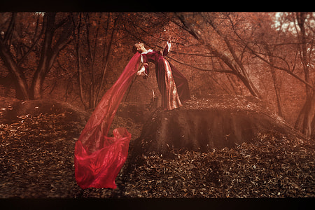 woman in black and red long-sleeved gown standing on gray rock under forest trees at daytime thumbnail