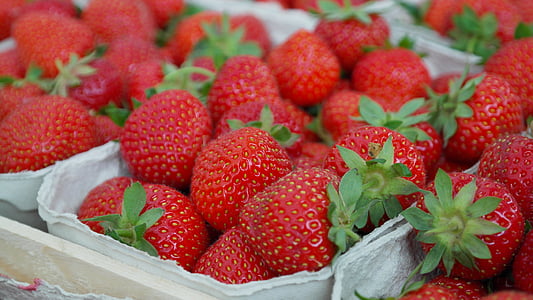 red strawberry fruits thumbnail
