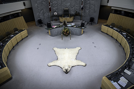 Polar Bear Rug in the Congress Room in Yellowknife thumbnail