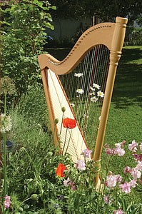 brown wooden harp near petaled flowers outdoors thumbnail