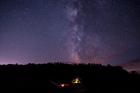 silhouette of trees under starry skies thumbnail