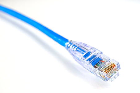 blue RJ 45 cable thumbnail